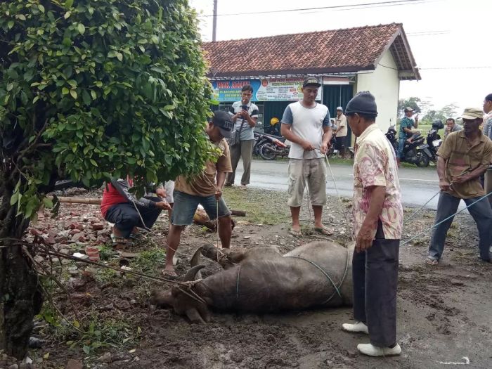 Bupati dan Wakil Bupati Kebumen Hadiri Merdi Desa Rogodadi 02